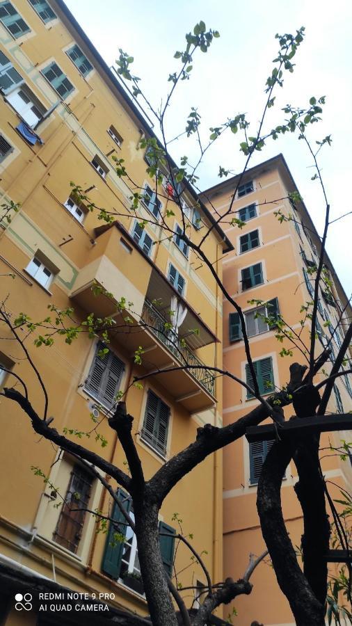 La Nina Διαμέρισμα Camogli Εξωτερικό φωτογραφία